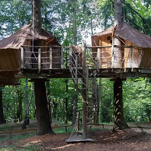 Les De Labrousse , Saint-Julien-Labrousse Francia